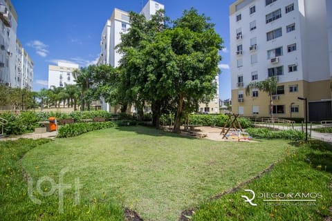 Image 30 - 239528
